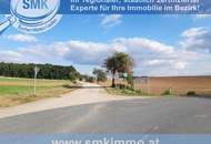 Acker bei Maissau - 3,42 ha landwirtschaftliche Nutzfläche!