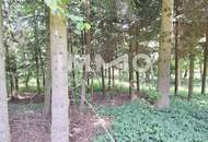 Großes Grundstück mit Fischteich und Badeteich, Erholungsanlage, Freizeitparadies mit viel Potenzial