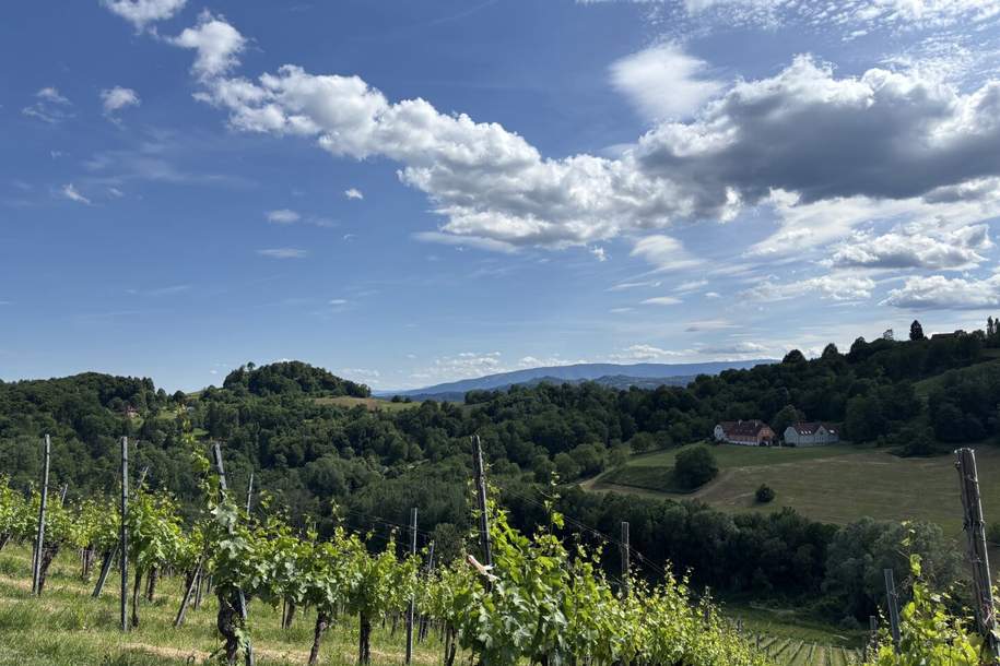 Südsteirische Weinstraße - Hochgraßnitzberg: Zweitwohnsitz! 1-Zimmer-Apartment mit Terrasse, Garten, Wellnessbereich, Fitnessraum & Infinity-Pool!, Wohnung-kauf, 258.000,€, 8472 Leibnitz