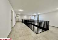 2 Zimmer Wohnung mitTerrasse - Haustiere erlaubt