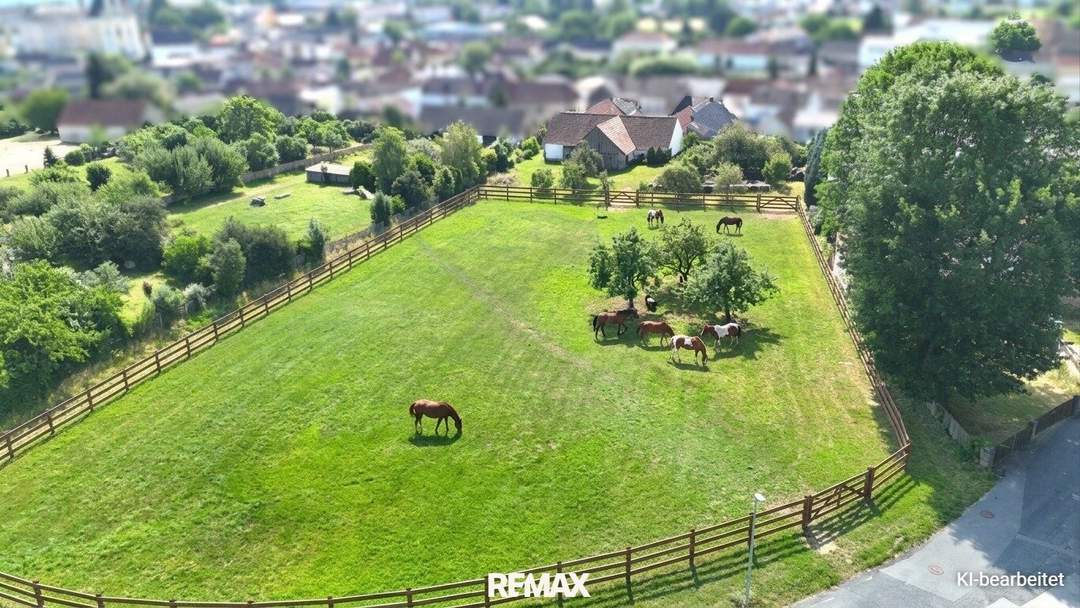 zentral gelegener Vierkanthof mit großer Wiese und 2 Stadeln - Perfekt geeignet für Tierhaltung