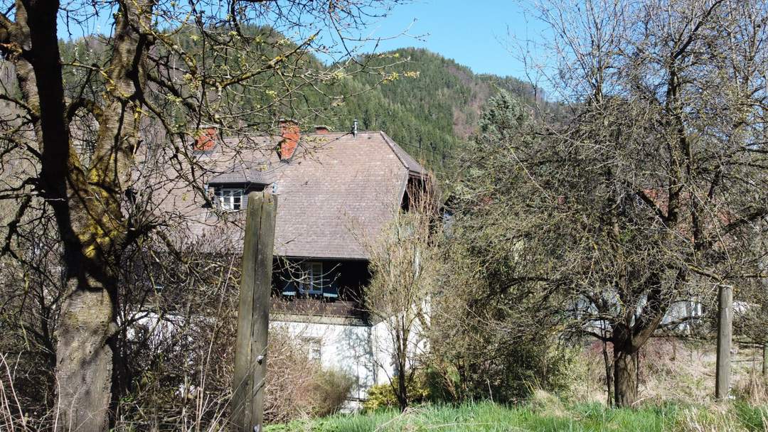 Großzügige Liegenschaft mit über 5 Hektar Grund in Pernegg – Wohnhaus, Nebengebäude &amp; enormes Potenzial