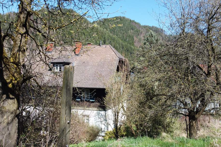 Großzügige Liegenschaft mit über 5 Hektar Grund in Pernegg – Wohnhaus, Nebengebäude &amp; enormes Potenzial, Haus-kauf, 699.000,€, 8131 Bruck-Mürzzuschlag