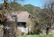 Großzügige Liegenschaft mit über 5 Hektar Grund in Pernegg – Wohnhaus, Nebengebäude &amp; enormes Potenzial