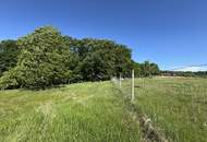 Sonnige Landwirtschaftsfläche mit vielseitigem Potenzial - ideal für Tierhaltung & Naturprojekte