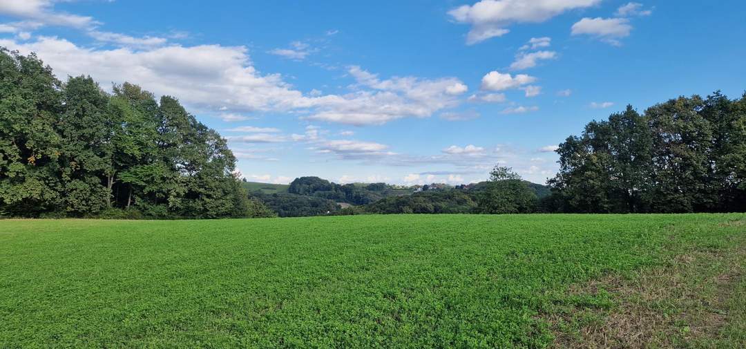 Grundstück für Bauträger oder Sport- und Thermenprojekt. Raum für Ihre Vision.