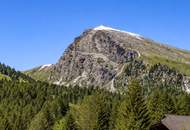 9 baugenehmigte Chalets mit Freizeitwohnsitzwidmung