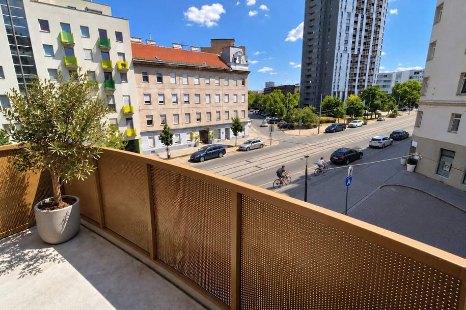 Gebrauchte 84,32 m2 Altbauwohnung plus 4,6m2 Balkon/ Weitblick / 2. Liftstock (Top 30), Wohnung-kauf, 277.000,€, 1200 Wien 20., Brigittenau