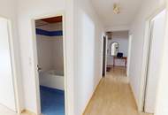 Grünblick mitten in der Josefstadt