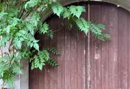 Landliebe trifft Raum zur Entfaltung: Ehemaliges Gasthaus auf 6.252 m2 Grund
