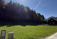 Baugrundstück in Naturlage