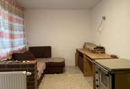 Geräumiges Einfamilienhaus mit Blick auf Schloss Neuburg