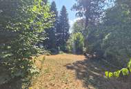 GRUNDSTÜCK IN ZENTRUMSNÄHE MIT GARAGE, POOL UND POOLHAUS