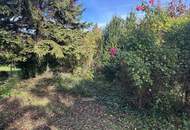 stark renovierungsbedürftiges Fertigteilhaus mit Vollkeller, und wunderschönem Garten