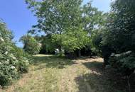 Grundstück mit Altbestand