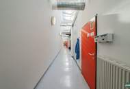 Vollausgestattete Laborflächen im Vienna Bio Center