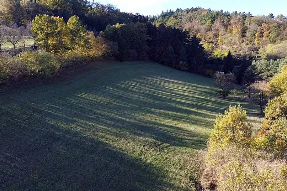 Großes an Bauland grenzendes Grünland-Grundstück bei Emmersdorf!, Grund und Boden-kauf, 117.705,€, 3644 Melk