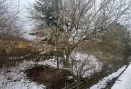 Baugrundstück im Grünen