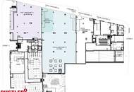 ATTRAKTIVE GESCHÄFTSFLÄCHE - MIT FLEXIBLEN GESTALTUNGSMÖGLICHKEITEN