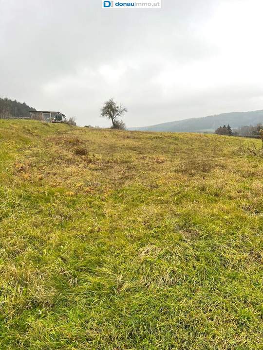 Sonniges, großes Baugrundstück in Ruhelage mit angrenzenden Grünland in Olbendorf Nähe Stegersbach