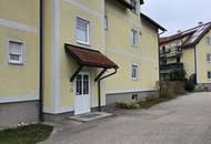 Dachgeschosswohnung mit Schwimmteich und Grünblick in Amstetten"