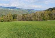 2 Baugrundstücke in traumhafter Aussichtslage