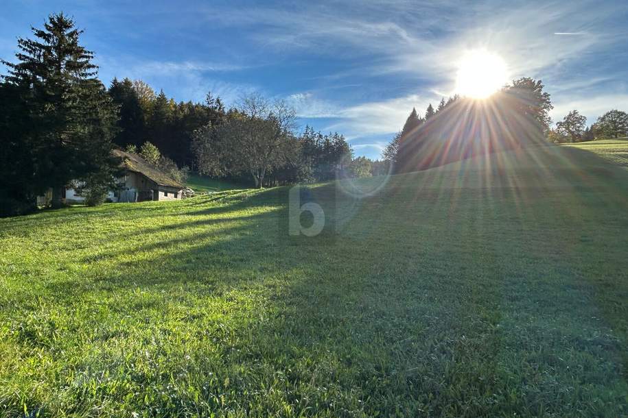 PREISHIT! PERFEKT FÜR GRÖßERE PROJEKTE, Grund und Boden-kauf, 505.000,€, 5241 Braunau am Inn