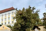 100 m² Wohntraum im Zentrum von Sankt Florian