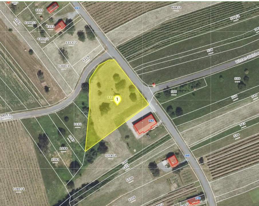 Grundstück mit 275 Stk. "UHUDLER" Weinstöcke in Winten im Südburgenland