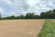 Gewerbegrundstück für Betriebsansiedelung