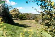 Toplage am Wasser - Jeden Tag Urlaub und Entspannung - direkt beim Hirschstettner Badeteich mit vermutlich der besten Aussicht Wiens!