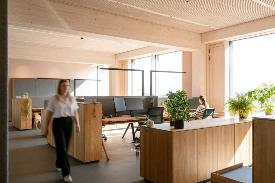 Raum für Wachstum | Flexible Gewerbeflächen ab 100 m² bis 1.100 m², Gewerbeobjekt-miete, 4910 Ried im Innkreis