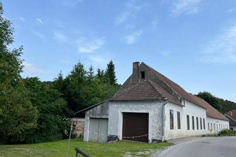 IHR SANIERUNGSBEDÜRFTIGES PARADIES FÜR MENSCH UND TIER MIT POTENTIAL UND GROSSEM GRUNDSTÜCK, Haus-kauf, 399.000,€, 3550 Krems(Land)