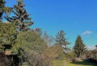 Traumhaftes großes Baugrundstück in Zwentendorf !