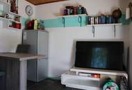 "Erste Reihe Alte Donau''