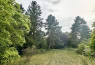 Idyllisches Wohnen mit Gartenparadies und zusätzlichem Grundstück in Bestlage Bad Fischau Brunn.