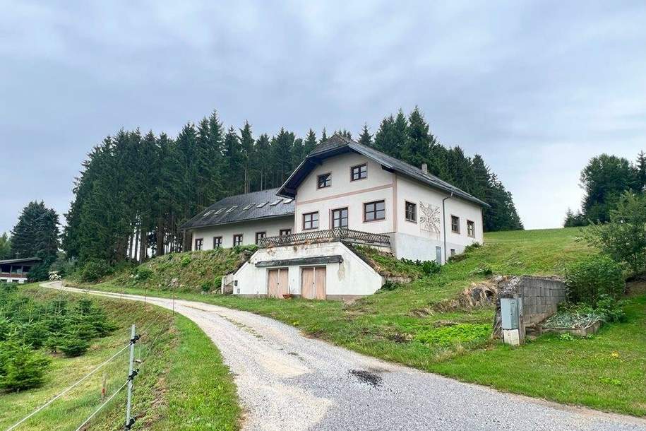 Großzügiges Landhaus in Streusiedlungslage, Haus-kauf, 280.000,€, 3920 Zwettl