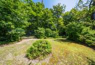 Luxuriöse Parkvilla mit einzigartigem Fernblick am Kahlenberg