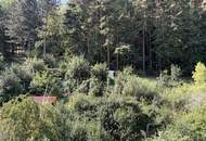 Großzügige helle 3-Zi-DG-Wohnung mit Garten in Gloggnitz - ideal für Ruhesuchende!