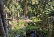 Kleines Juwel in Niederösterreich - Blockhaus mit Fischteich