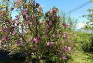 Einfamilienhaus in sonniger Lage mit herrlicher Aussicht in Edelschrott!