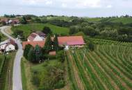 IN SLOWENIEN - Weingut in der berühmten Weinbauregion JERUZALEM