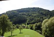 Großzügige Eigentumswohnung in ruhiger grüner Lage in Frankenfels