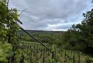 UNGARN - Winzerhaus (Pinze) in idyllischer Weinberglage bei Zalaegerszeg