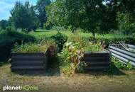 Zwei Kleingartengrundstücke in Hainburg an der Donau