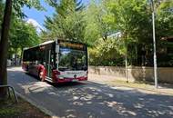 Einfamilienhaus zum Sanieren oder Neubauen – Altbaujuwel in Dornbach