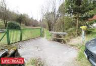 sonniges Grünland eingebetet neben Bach und Wald