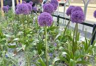 Ihre Chance: Top-Lage im ersten Wiener Supergrätzl – 17 Sanierungswohnungen mit Potenzial! Ihre Chance auf Lebensqualität in Favoriten!