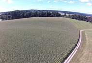 Große Ackerfläche mit guter Anbindung