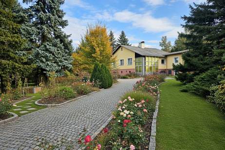 Ihr Rückzugsort im Grünen – Wohnen mit 4.000 m² Gartenidylle - Ein Haus mit Potenzial in Felling, Haus-kauf, 169.000,€, 2083 Hollabrunn